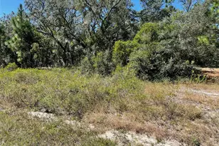 Lot 2 SW Winding Hills Rd, Dunnellon, FL 34431 - Photo 1