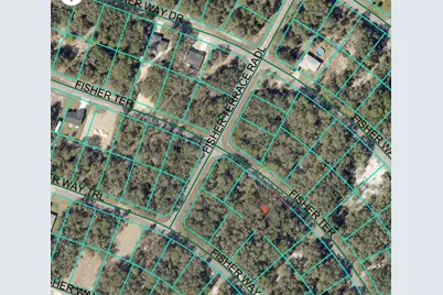 Fisher Terrace #8, Ocklawaha, FL 32179 - Photo 3