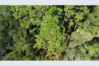 12313 N Elf Point, Dunnellon, FL 34433 - Photo 11