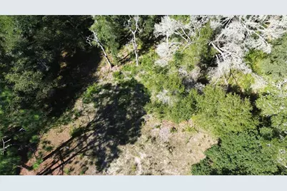 12313 N Elf Point, Dunnellon, FL 34433 - Photo 9