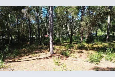 12313 N Elf Point, Dunnellon, FL 34433 - Photo 7