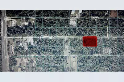 Tbd NE 235th Street ROAD #12, Fort Mc Coy, FL 32134 - Photo 1