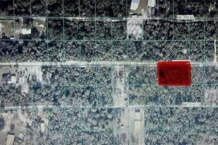 Tbd NE 235th St, Fort Mc Coy, FL 32134 - Photo 1