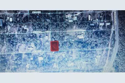 Tbd NE Ne 204th Street, Fort Mc Coy, FL 32134 - Photo 1