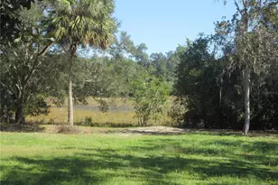 4051 N Hwy 314 A, Silver Springs, FL 34488 - Photo 5