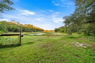 6490 SE 180th Avenue Rd, Ocklawaha, FL 32179 - Photo 5