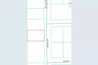 Lot 8 NE 128th Avenue, Silver Springs, FL 34488 - Photo 3