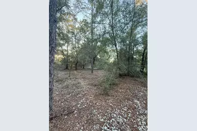 000 Keuka Road, Interlachen, FL 32148 - Photo 11