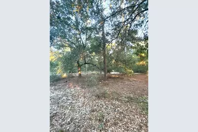 000 Keuka Road, Interlachen, FL 32148 - Photo 13