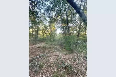 000 Keuka Road, Interlachen, FL 32148 - Photo 9