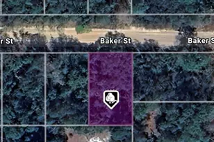 Lot 8 Baker St, Interlachen, FL 32148 - Photo 1