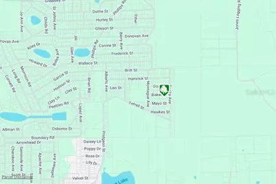 Lot 8 Baker Street, Interlachen, FL 32148 - Photo 3