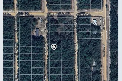 Lot 5 Creager Avenue, Interlachen, FL 32148 - Photo 1