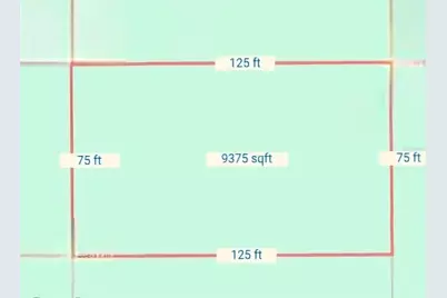 Lot 22 Louise Avenue, Interlachen, FL 32148 - Photo 3