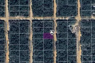 Lot 22 Louise Ave, Interlachen, FL 32148 - Photo 1