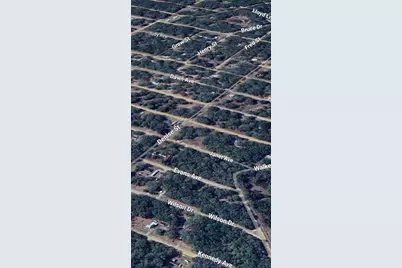 Lot 3 Janet Avenue, Interlachen, FL 32148 - Photo 3