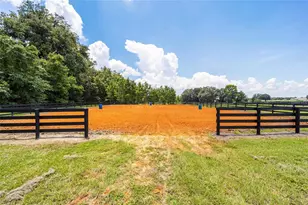 11098 NW 50th Ln, Ocala, FL 34482 - Photo 5