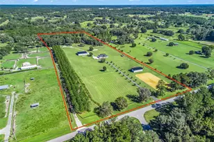 9209 W Hwy 316, Reddick, FL 32686 - Photo 69