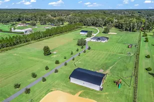 9209 W Hwy 316, Reddick, FL 32686 - Photo 57