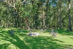 9209 W Hwy 316, Reddick, FL 32686 - Photo 65