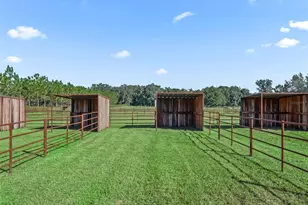 9209 W Hwy 316, Reddick, FL 32686 - Photo 61