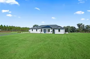 9209 W Hwy 316, Reddick, FL 32686 - Photo 7