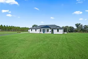 9209 W Hwy 316, Reddick, FL 32686 - Photo 7