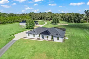 9209 W Hwy 316, Reddick, FL 32686 - Photo 5