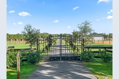 9209 W Highway 316, Reddick, FL 32686 - Photo 3