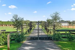 9209 W Hwy 316, Reddick, FL 32686 - Photo 3