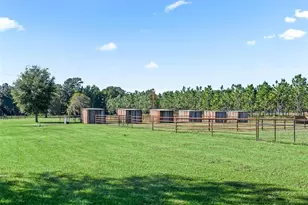 9209 W Hwy 316, Reddick, FL 32686 - Photo 59