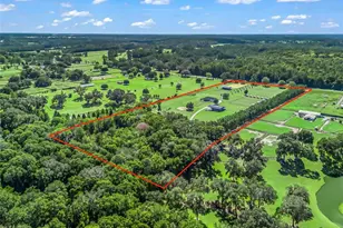 9209 W Hwy 316, Reddick, FL 32686 - Photo 73