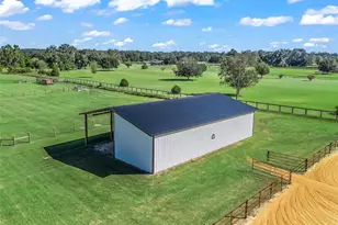 9209 W Hwy 316, Reddick, FL 32686 - Photo 53