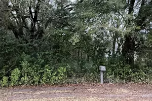 0 SE 143rd Pl, Summerfield, FL 34491 - Photo 1