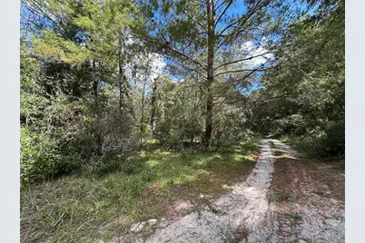 Tbd NE 138th Avenue, Williston, FL 32696 - Photo 3
