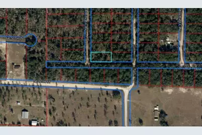 Tbd NE 138th Avenue, Williston, FL 32696 - Photo 1