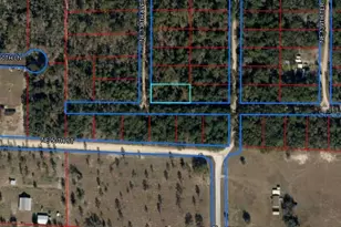 Tbd NE 138th Ave, Williston, FL 32696 - Photo 1