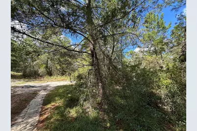 Tbd NE 138th Avenue, Williston, FL 32696 - Photo 1
