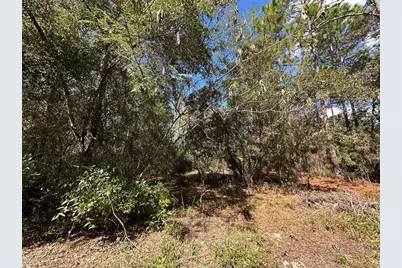 Tbd NE 138th Avenue, Williston, FL 32696 - Photo 9