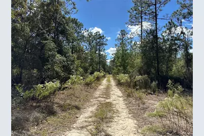 Tbd NE 138th Avenue, Williston, FL 32696 - Photo 5
