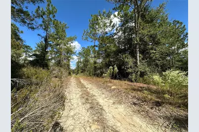Tbd NE 138th Avenue, Williston, FL 32696 - Photo 5