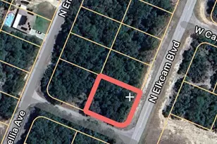 9506 N Elkcam Blvd, Citrus Springs, FL 34433 - Photo 1