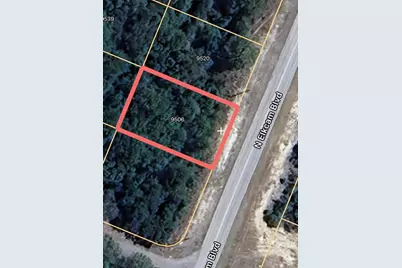 9506 N Elkcam Boulevard, Citrus Springs, FL 34433 - Photo 1