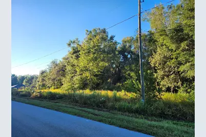 Tbd Williow Road, Ocala, FL 34472 - Photo 9