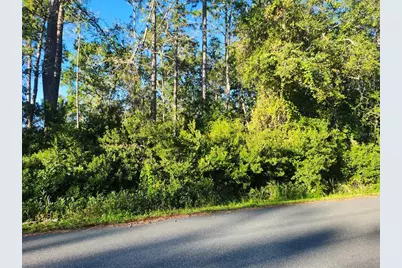 Tbd Redwood Track Course, Ocala, FL 34472 - Photo 3