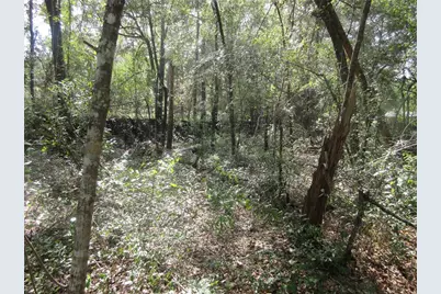 Ne 171st Court, Silver Springs, FL 34488 - Photo 5