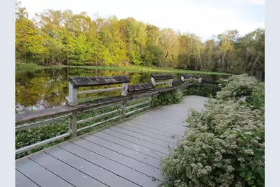 Ne 171st Court, Silver Springs, FL 34488 - Photo 37