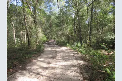 Ne 171st Court, Silver Springs, FL 34488 - Photo 15