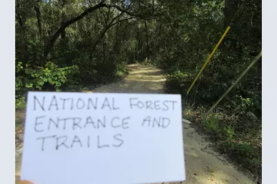 Ne 171st Court, Silver Springs, FL 34488 - Photo 13