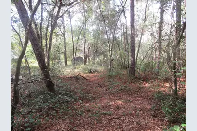 Ne 171st Court, Silver Springs, FL 34488 - Photo 1